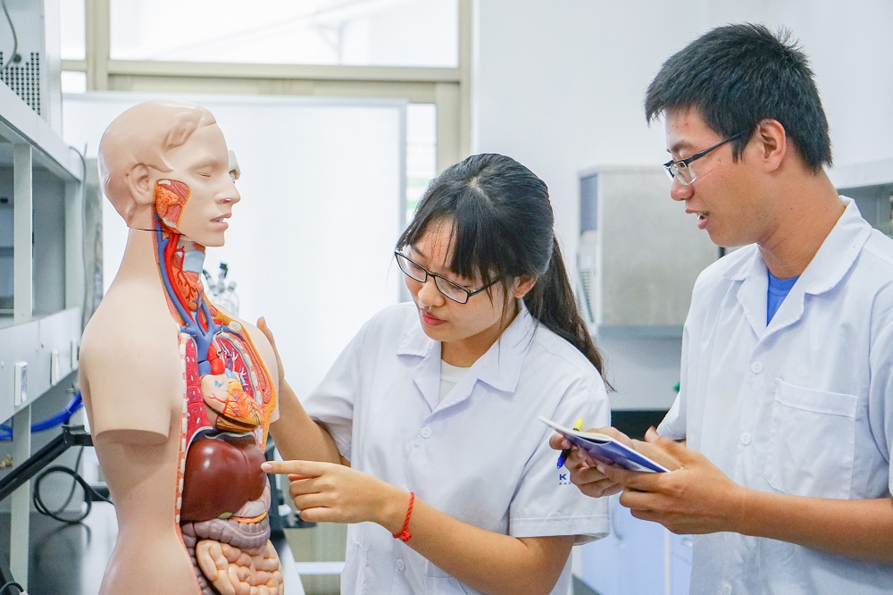 Nhóm ngành khoa học sức khỏe